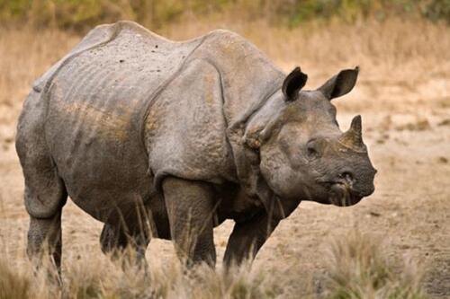 2024092110968964.jpg 4d1ea0a388a444c42ae7190272735cfd.jpg