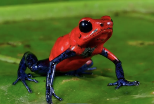 2024092111307046.png WX20240921-2335152x.png