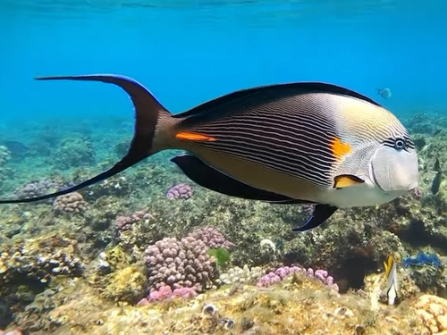 2024092115103847.jpg c465d2342b08a7294f9a6a9779f896ad (1).jpg