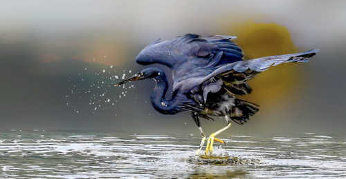 2024092118033272.png WX20240921-2316092x.png