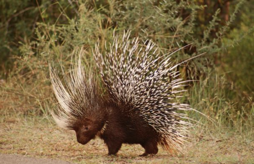 2024092118280988.png WX20240921-2334142x.png