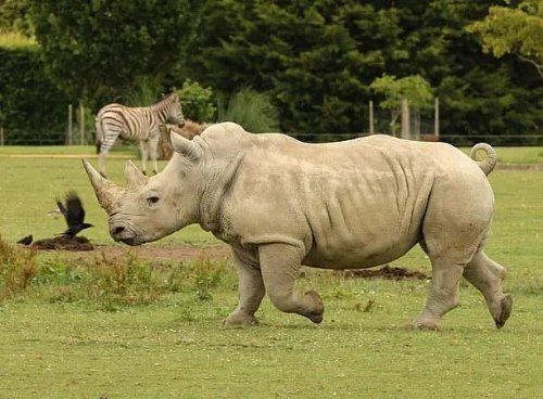 2024092118708462.jpg 54ec04223f9f9de32a0d7faabfd7f64a.jpg