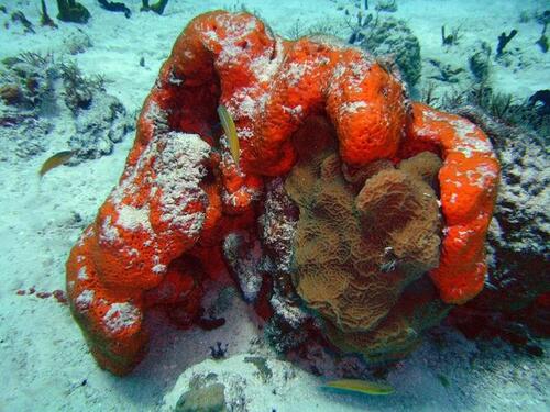 2024092119255262.jpeg a41bb2e622b1d8c7d304262e863b3824 (1).jpeg