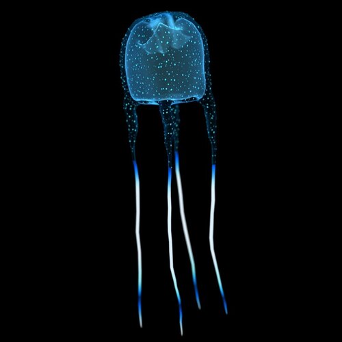 2024092120085161.jpg 934f22ba44c0a7c137a4cfa538baa73c (1).jpg