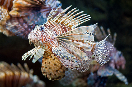 2024092133892654.jpg c86f9ee529e854d9add834f7ad1a2d8b (1).jpg