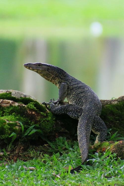 2024092172492991.jpeg 784380f543e4ce5c0cc894e2f8fc64a7.jpeg