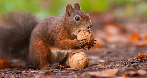 2024092183570728.jpeg f1e68097b2a74e6c9f52481f26182462.jpeg