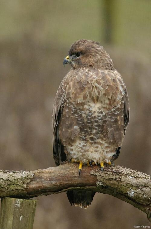 2024092214641055.jpeg 0b6fc891f116a632aa96333098a49628.jpeg