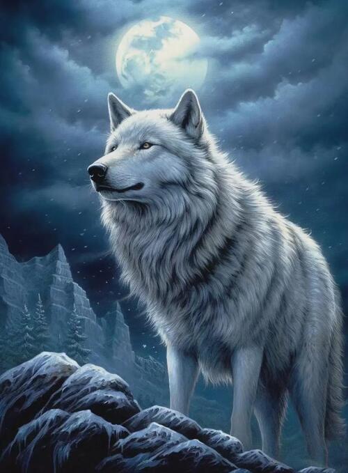 2024092232601533.jpeg cc559dfb7e9a4178dd8c1ea9ee4181b2.jpeg