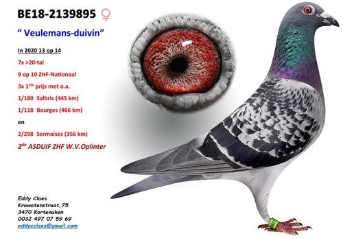 2024092411381231.jpeg 3e4320aedd7c66415d91a4a872b63e6e.jpeg