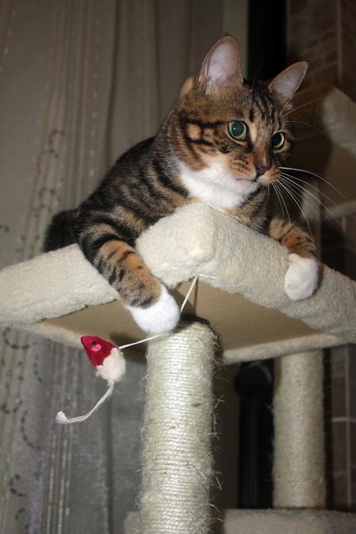 2024092412412775.jpeg 9692d1a57268c22e19020c03ceaa0118.jpeg