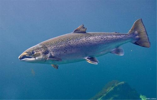 2024092413462520.jpeg cef8fbb578569b9f7b34a1cc86cc7419.jpeg