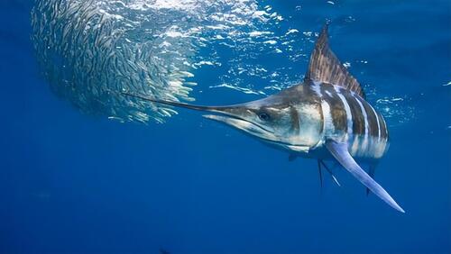 2024092417060801.jpeg 0989f36d574f2fe12b332e9de4ecedf4.jpeg