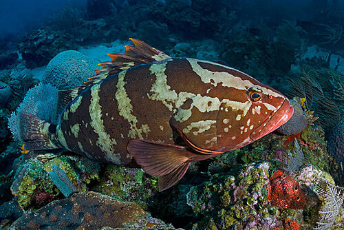 2024092417685032.jpeg a45c22caa249175b96d73730c7404d12.jpeg