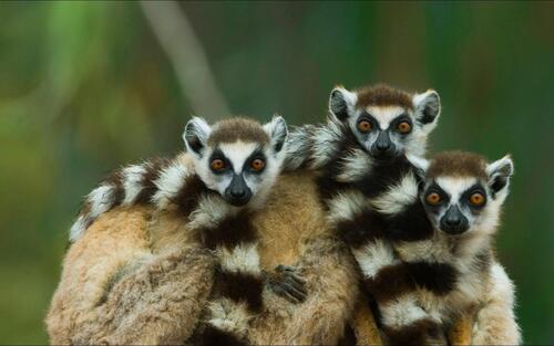 2024092438393738.jpg f9c6fe913dc24fa1ab99dee1c0e2518d.jpg