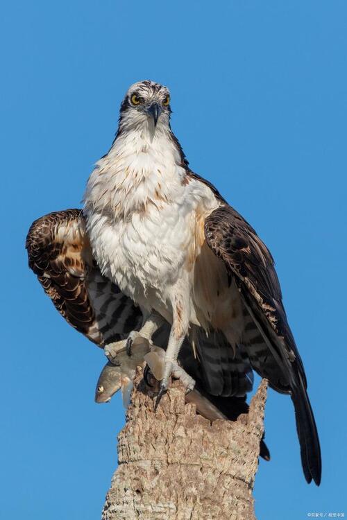 2024092442324466.jpeg 8b5a3214a0a9f057b390af8350d7457b.jpeg