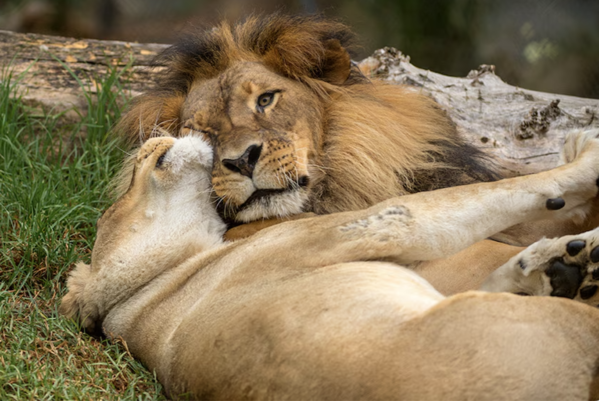 2024101617299239.png 3 (1).png