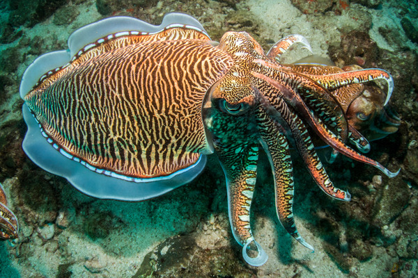 2024101673000061.jpg 5.jpg