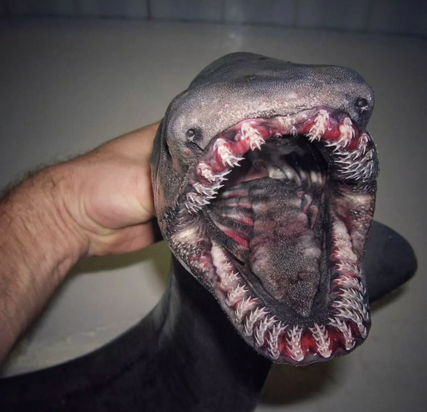 2024102618705967.png 5.png