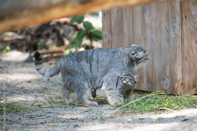 2024102812366011.jpg 99.jpg