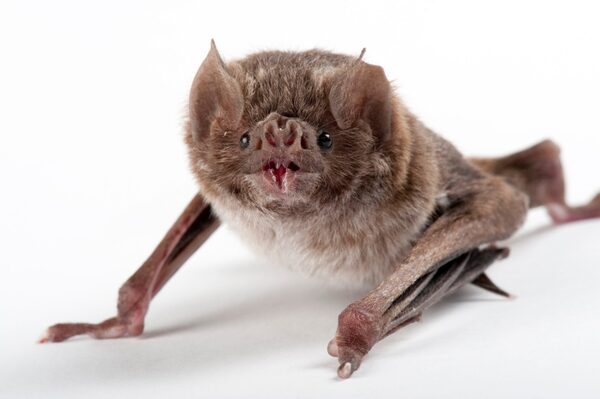 2024112010263473.jpg 6.jpg