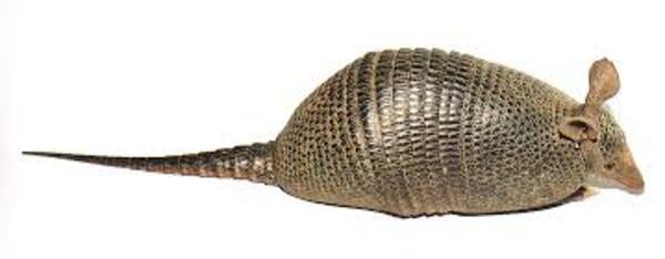 2024112011448990.jpeg 5.jpeg