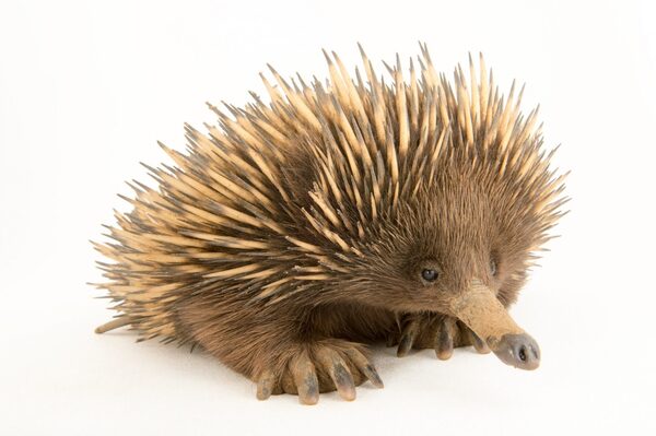 2024112018079540.jpg 9.jpg