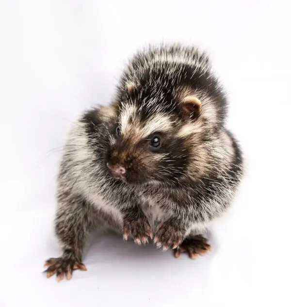 2024112057054245.jpg 8.jpg