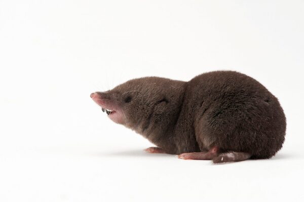 2024112097867535.jpg 4.jpg