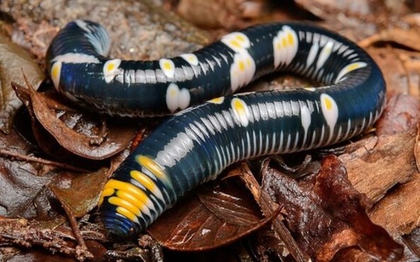 2024112213402198.jpg 10 (1).jpg