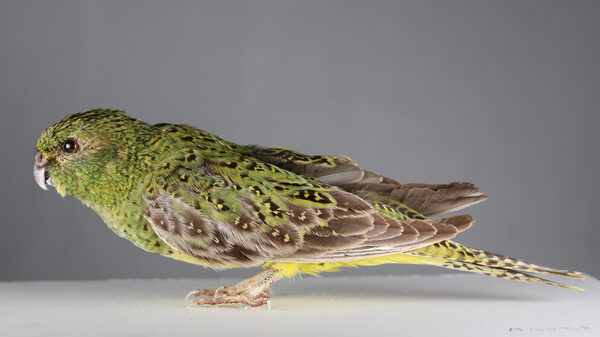 2024112214323696.jpg 8.jpg