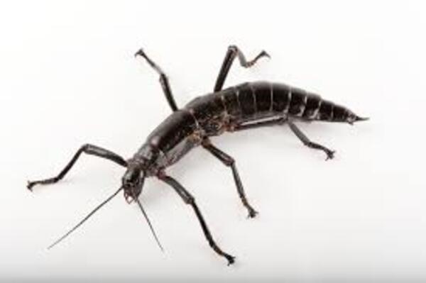 2024112228806914.jpeg 6.jpeg