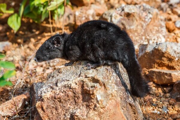 2024112251697780.jpg 4.jpg