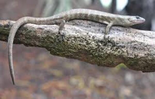 2024112289943344.jpeg 9.jpeg