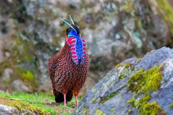 2024112416963988.jpeg 3986a761b25d4211b729e7b01ab33a7d.jpeg