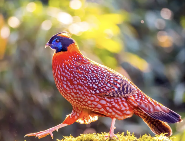 2024112453928467.png WX20241124-1844402x.png