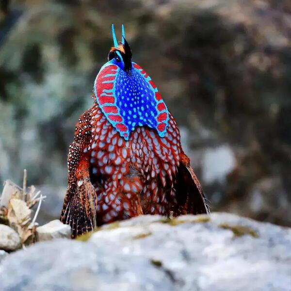 2024112457578404.jpeg e9f2319a1b9e403380a5b8e4a7476266.jpeg