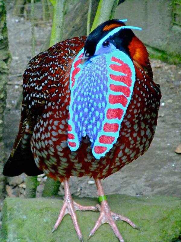 2024112479146790.jpg 62195856_3242208155793018_1322317351223296_n.jpg