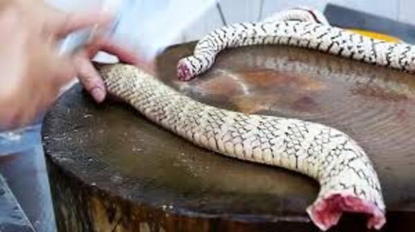 2024112519331114.jpeg images.jpeg