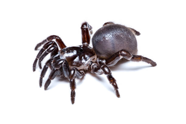 2024112720992469.jpg 4.jpg