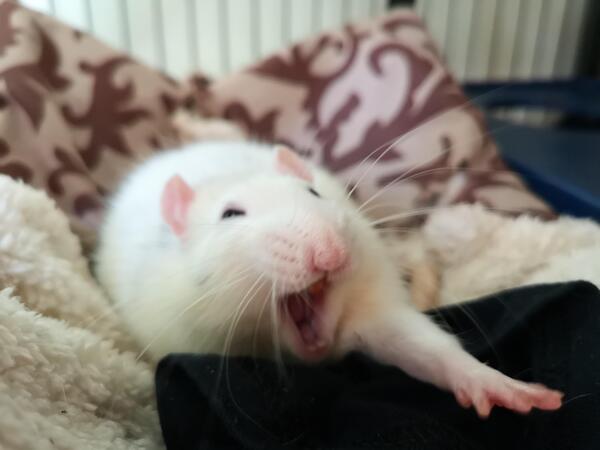 2024112741539639.jpg 5.jpg