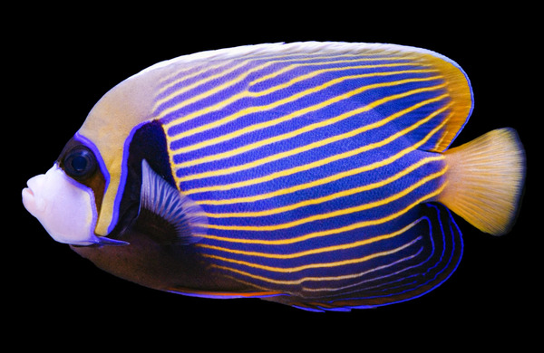 2024112797163848.jpg 5.jpg