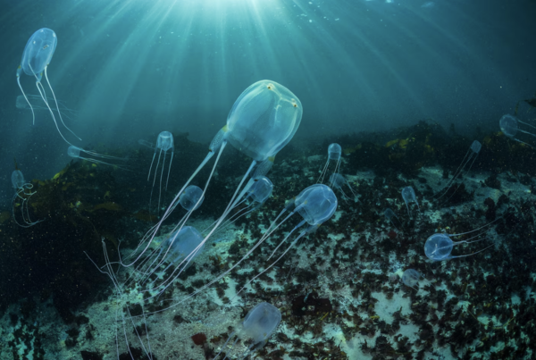 2024120210085915.png 3.png