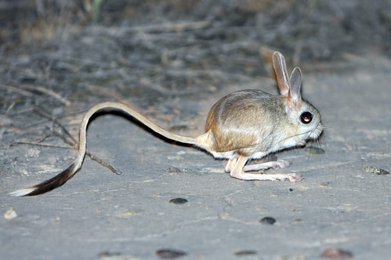 2024120210660157.jpg 33.jpg