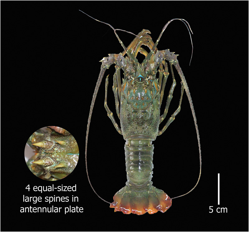 2024120211816642.jpg 2.jpg