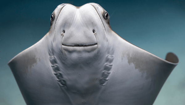 2024120213801486.png 8.png