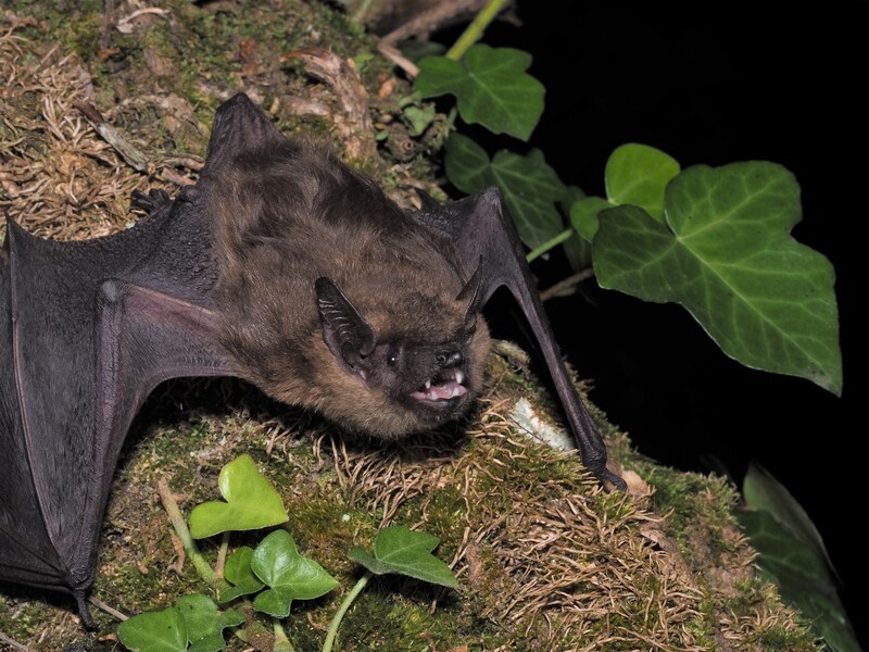 2024120214445189.jpeg 9.jpeg