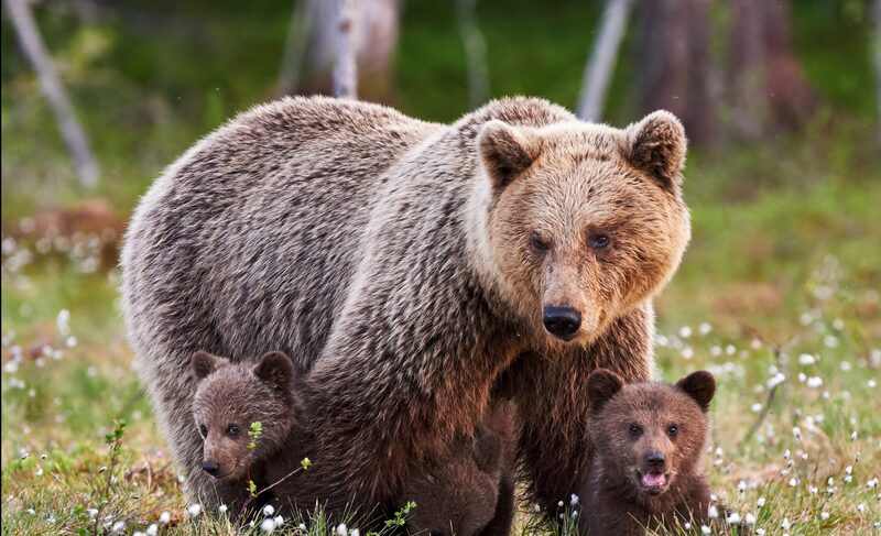 2024120214666907.jpg 77.jpg