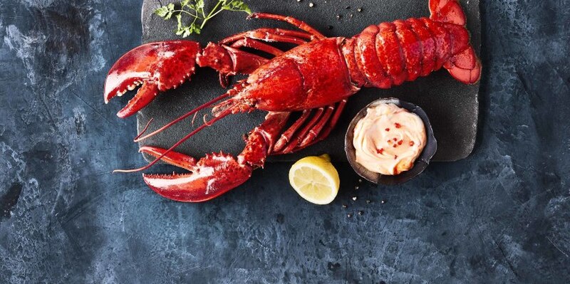 2024120214695844.jpg 101.jpg