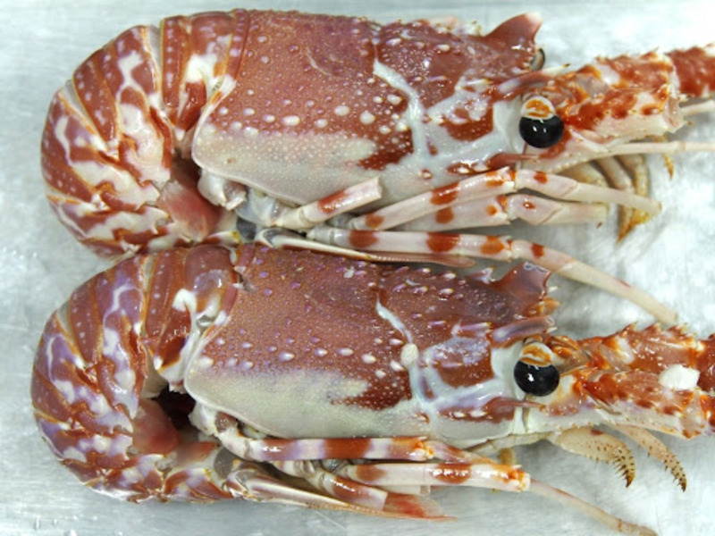 2024120215303608.jpg 33.jpg